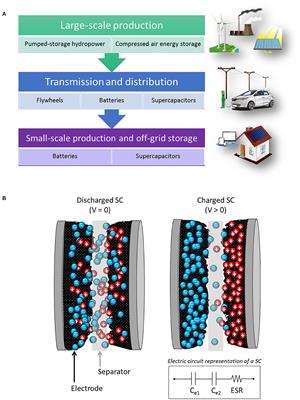 Energy Storage in Supercapacitors: Focus on Tannin-Derived Carbon Electrodes